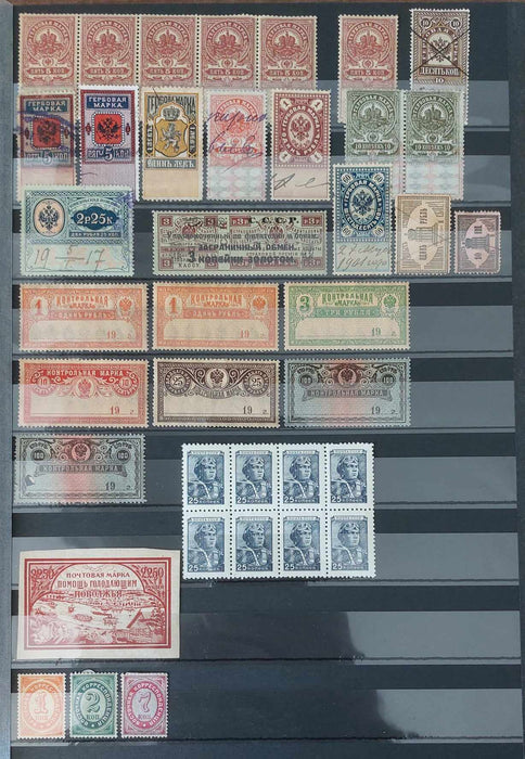 Rusia, colectie timbre nestampilate deparaiate, blocuri, cota mare de catalog (clasor inclus) Seria TOUVA stampilata si colita Rusia stampilata sunt bonus