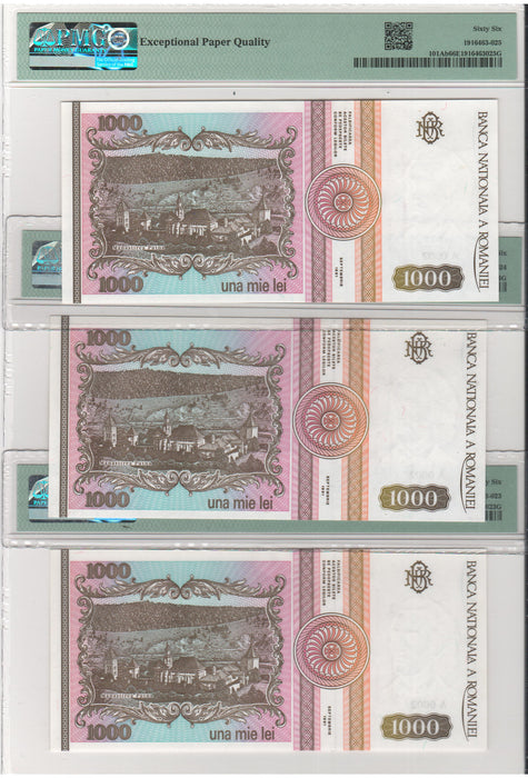 Romania Bancnota 1.000 LEI 1991 gradata