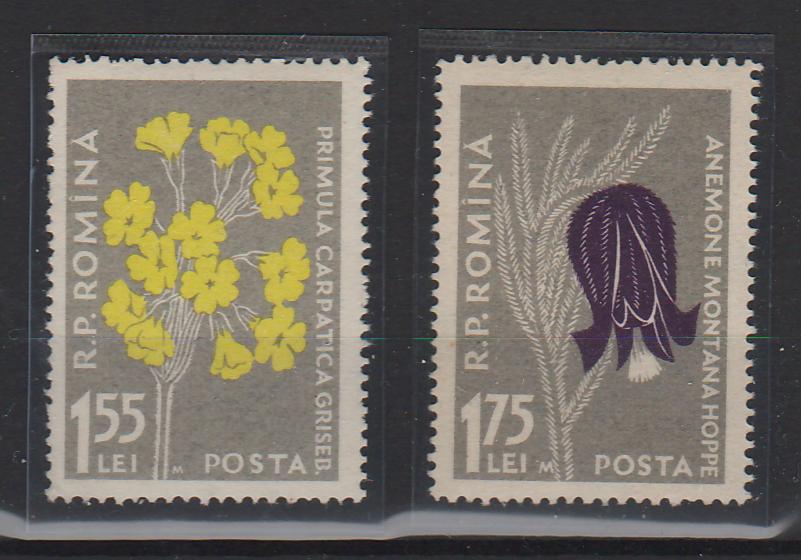 Romania 1957 Flora carpatina 1,55 lei si 1,75 lei cu M EROARE