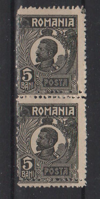 Romania 1919-1922 Ferdinand uzuale bust mic 5Bani EROARE dubla dantelura