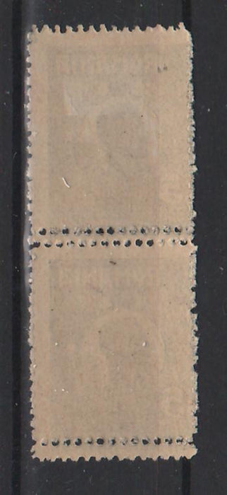 Romania 1919-1922 Ferdinand uzuale bust mic 5Bani EROARE dubla dantelura