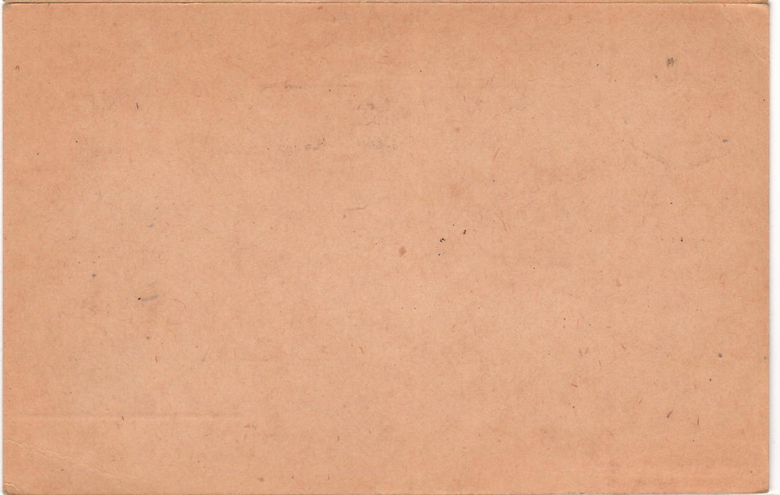 Romania 1919 Intreguri postale maghiare cu supratipar romanesc stema mare si 10 B negru pe 10 filler roz