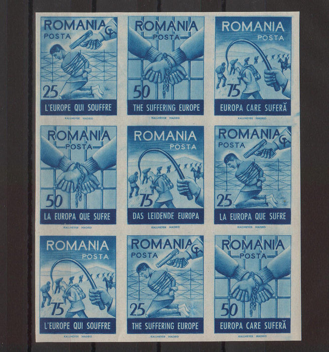 Romania Exil 1959 Emisiunea a XV-a Europa care sufera serie completa in bloc de 9 dantelat si nedantelat