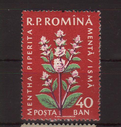 Romania 1961 Plante medicinale Val. 40 BAN in loc de BANI EROARE