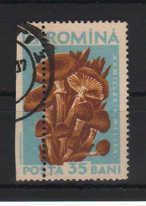 Romania 1958 Ciuperci comestibile val. 35B EROARE spectaculoasa de dantelura