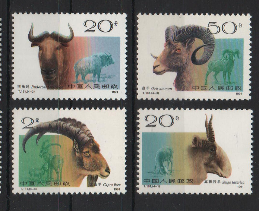 China People's Republic 1991 Bovidae