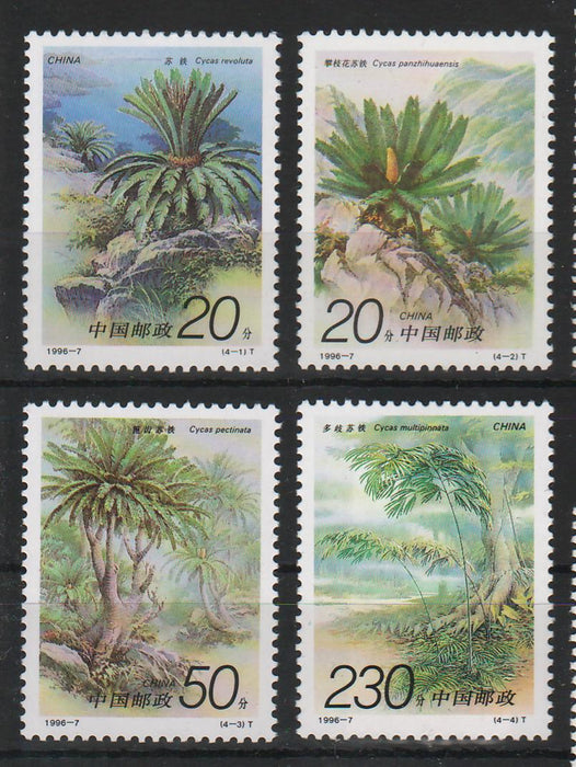 China People's Republic 1996 Cycads