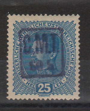 Romania 1919 Timbre ocupatie Ucraina (Pocutia) supratipar CMT 60h/25h