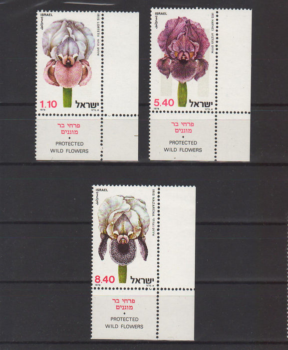 Israel 1978 Protected Wild Flowers with Tab cv. 2.00$ (TIP A)