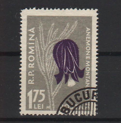 Romania 1957 Flora carpatina 1,75LEI cu M (TIP C)-Stamps Mall
