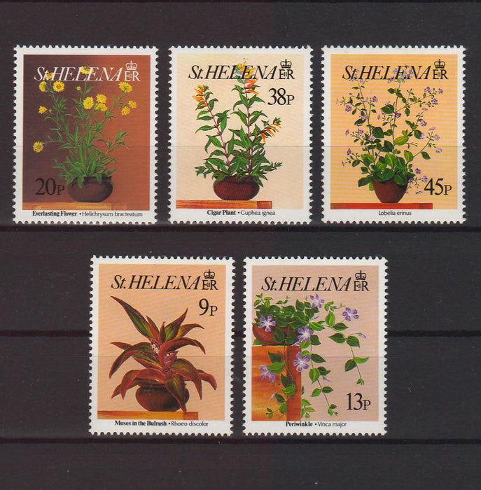 St. Helena 1993 Flowers cv.  12.00$ - (TIP A)