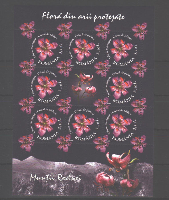 Romania 2009 Flora din arii protejate - Muntii Rodnei minicoli 8 timbre si vinieta (TIP C)