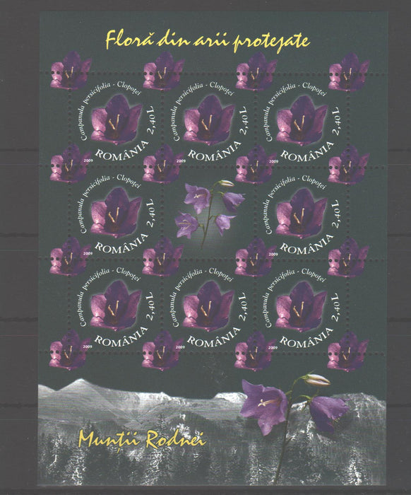 Romania 2009 Flora din arii protejate - Muntii Rodnei minicoli 8 timbre si vinieta (TIP C)