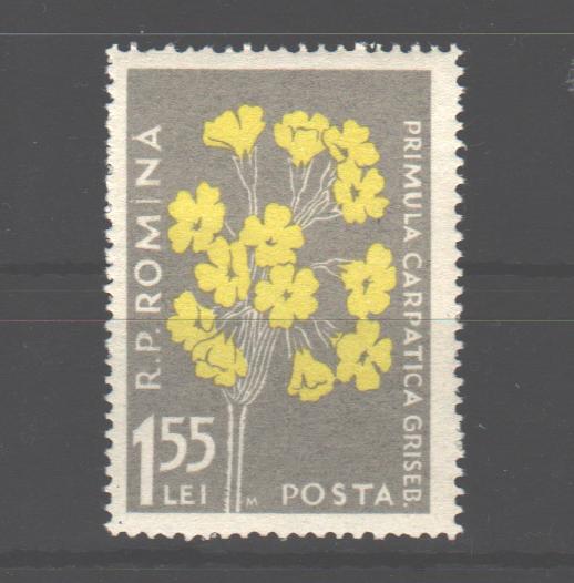 Romania 1957 Flora carpatina 1,55 lei cu M (TIP E)