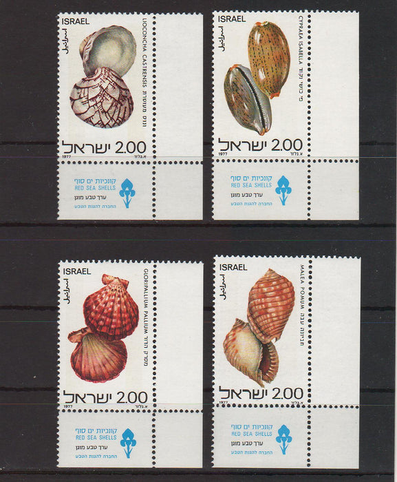 Israel 1977 Red Sea Shells with Tab cv. 2.00$ (TIP A)