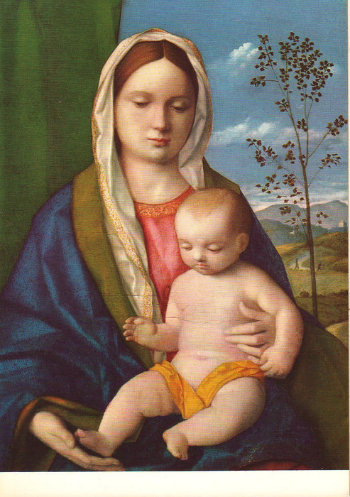 Postcard Italia Roma Giovanni Bellini - Madona con Bambino (TIP A)