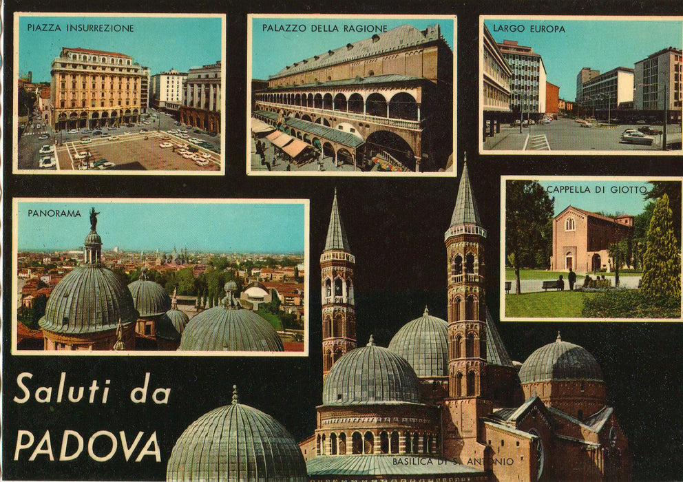 Postcard Italia Padova (TIP A)