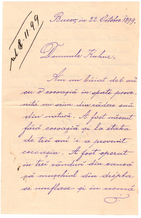 Romania 1899 Plic circulat Spic de griu cu scrisoarea continut ruta Valea Calugareasca-Lipsca (Germania) destinat celebrului terapeut german Louis Kuhne (TIP G)