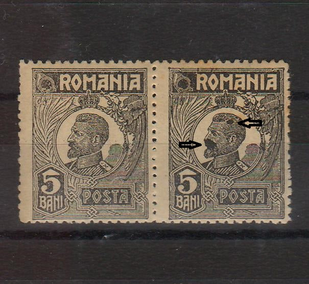 Romania 1919-22 Ferdinand uzuale bust mic 5B EROARE pereche (TIP B)