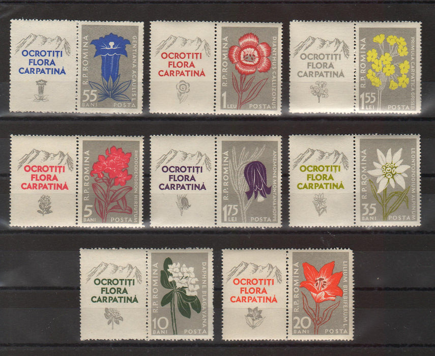 Romania 1957 Flora carpatina serie cu vigneta (TIP C)